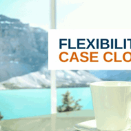 Flexibility: Case Closed? - Blog Image